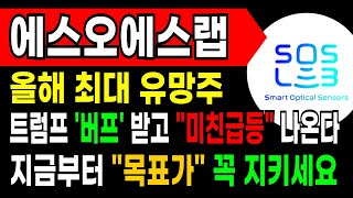 [에스오에스랩 주가전망] 2025년 올해 최대 유망주!! 트럼프 '버프' 받고 \