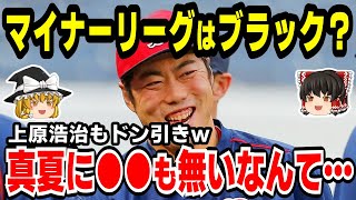 地獄のマイナーリーグの劣悪すぎる環境がヤバい！これにはMLBの闇が…【野球・ゆっくり解説】