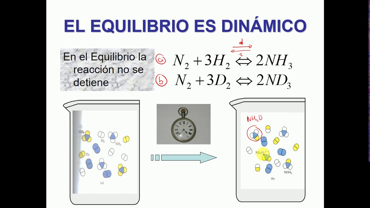 Caracteristicas Del Equilibrio Quimico - Lakuisua