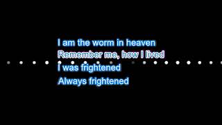 Protomartyr - Worm in Heaven(Karaoke)