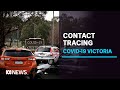 Brett Sutton says Victorian contact tracing more robust than ever, but testing drops | ABC News