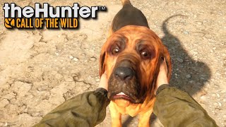 Pies myśliwski | theHunter: Call of the Wild (#79)