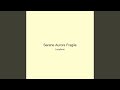 Serene Aurora Fragile