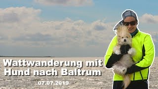 Wattwanderung mit Hund nach Baltrum