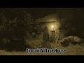 Ghost in village house fixed camera - Dark Ghost Stories paranormal activity