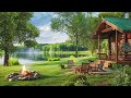 cool spring lake ambience 4k🌞birds chirping fire sounds u0026 sunlight through leaves to study relax