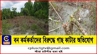 সীতাকুণ্ডের সাগর উপকূলে বন কর্মকর্তাদের বিরুদ্ধে গাছ কাটার অভিযোগ | Complaint | Cutting  trees|Cplus