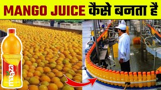 देखिए Factory में Maaza कैसे बनता है |‌ Maaza Kaise Banta Hai | How it's Made Mango Juice