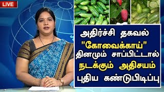 கோவைக்காய் மட்டும் தான் இந்த நோய்க்கு மருந்து! | Health Benefits Kovakai in Tamil |Health Tips Tamil