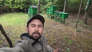 ПАСІКА НА ВИХІДНІ 🏕️🐝🏕️ НОЧІВЛЯ, ДОЩОВА НЕДІЛЯ🌧️ ПАСІКА БЕЗ РЕВІЗІЇ🧐😌