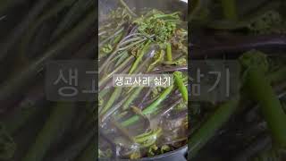 고사리 꺾어온날 생고사리삶기 #생고사리삶기