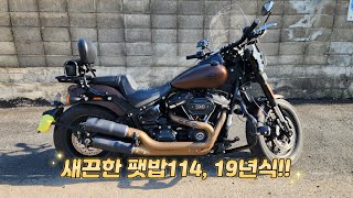 (중고 매물) 19년식 팻밥 114 로하이드 무광색상! / 스포츠성이 강조된 소프테일 모델, 윈드실드 및 머플러 등등 작업 완료!! / 할리파파의 중고 맛집