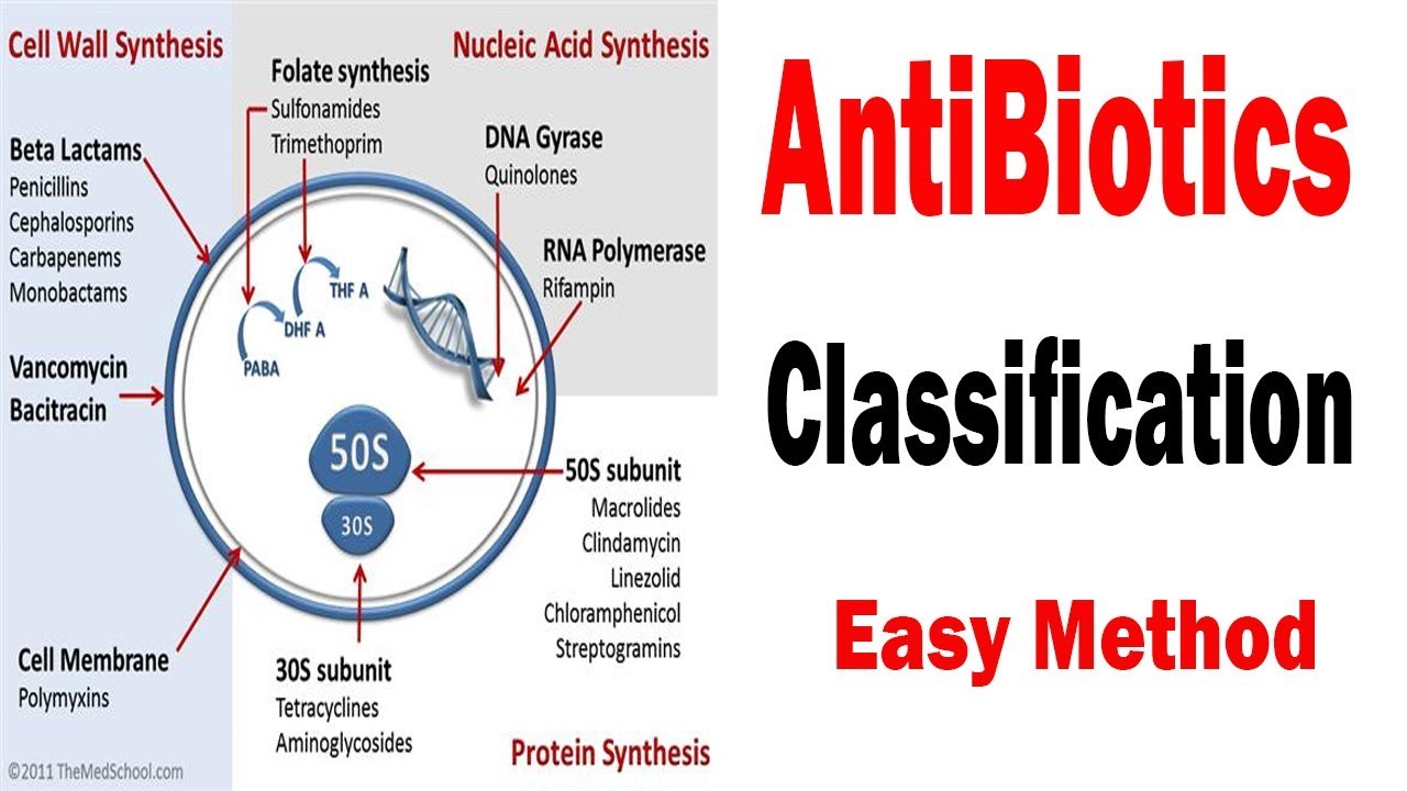 Antibiotics Classification - | Antibiotics And Pharmacology | - YouTube