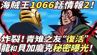 海賊王1066話情報2：青雉之友“復活”！龍和貝加龐克“秘密”曝光！