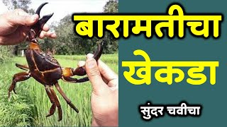 बारामतीचा खेकडा | Baramati cha Khekda | street food | sea food | crab