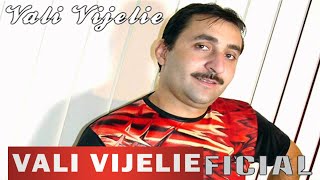 VALI VIJELIE - Te iubesc, te iubesc (OFICIAL AUDIO TRACK)