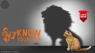 How to know Yourself ? | Radio Story, IIT Kanpur