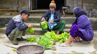 With Grandma Harvesting Vegetables Bringing To Market To Sell, Buy Rice Seeds