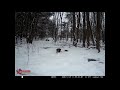 predator cam ... campark t86 trail camera