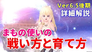 まもの使いに重要なステータスと戦い方【ドラクエ10オンライン】てぃあのちいさな冒険日記