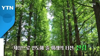 세계산림총회 with 대한민국 13편 / YTN