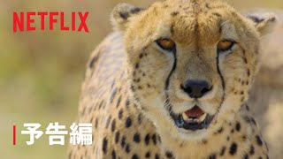 『アニマル －自然界の実力者たち－』予告編 - Netflix