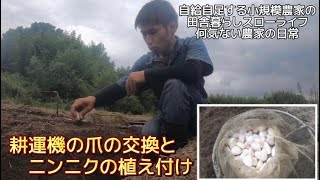 【田舎暮らし自給自足】耕運機の爪の交換とニンニクの植え付け【何気ない農家の日常】【10月】