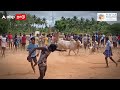 நாங்க வேற மாதிரி.. கெத்து காட்டும் தேனி இளசுகள் theni jallikattu vadam jallikattu