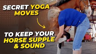 Yoga Stretches For Your Horse To Keep Them Rideable Through Their 30's || Holistic Horseworks