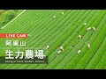 Live cam-Alishan【阿里山美景直播】-生力農場 Sheng-Li Farm