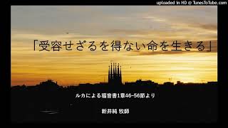 バルセロナ日本語で聖書を読む会【2022年11月29日集会 サグラダファミリア地下礼拝堂 クリプタにて】*始めの1分間音声が大変聞き取りにくくなっています。音量にご注意ください