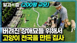 버려진 아픔을 저도 잘 알기에 23마리의 유기묘들 중 90%가 장애를 갖고 있지만, 천사 집사의 보호 속에서 누구보다 행복한 고양이들┃고양이를 부탁해┃알고e즘