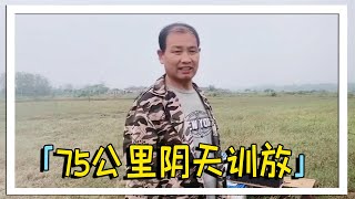 75公里训放天气阴沉，农村大叔为什么急着放飞？难道发生了什么事【农村达叔】