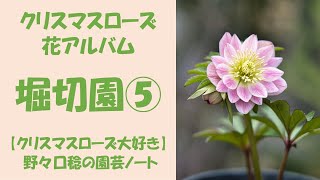 花アルバム 堀切園⑤