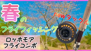 【管釣りフライ】春のフライフィッシング newタックル ロッホモアフライコンボ