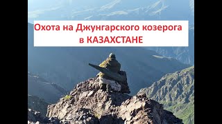 Охота на Джунгарского козерога в  Казахстане