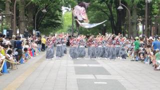 2017東京よさこいなな丸隊　光が丘公園ふれあいの径演舞「星の雫」