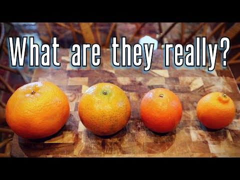 Are tangerines and satsumas the same?