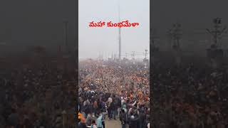 నాగ సాధువుల ఆగమనం @ #MahaKumbhMela2025 #kumbhmela2025