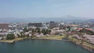 琵琶湖からの長浜城