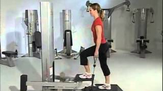 FreeMotion Step l Commercial Gym Equipment