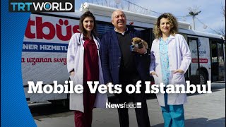 The vetbus: Mobile care for Istanbul's animals