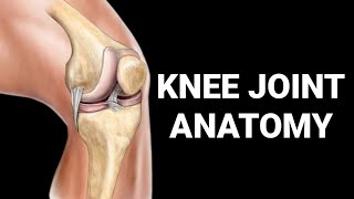 Knee Joint Anatomy in 6 Minutes [ lower limb Anatomy]