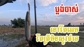 ប្លង់ចាស់ នៅតែអេមតែត្រីមិនសូវធំទេ