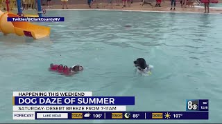 Dog Daze of Summer happening Sept. 7