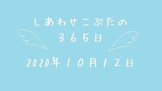 株式会社SCRIT「しあわせこぶたの３６５日」１０/１２