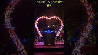 1月6日･西山公園の電飾[鯖江市]