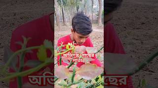 অভিশপ্ত গাছের পাতা 😱 #shorts #short #ytshorts #islam #islamic #trending #shortsfeed #tiktok