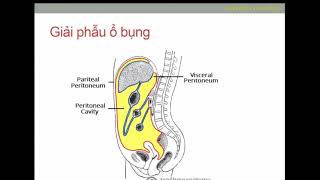 QUẢN LÝ SỬ DỤNG KHÁNG SINH TRONG NHIỄM KHUẨN Ổ BỤNG | BS. LÊ QUAN ANH TUẤN