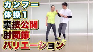 カンフー弱い？【最強北派長拳】関節技編